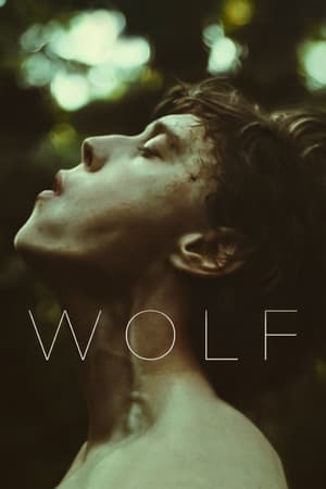 Wolf (2021) Hindi Dual Audio – - Movierulz